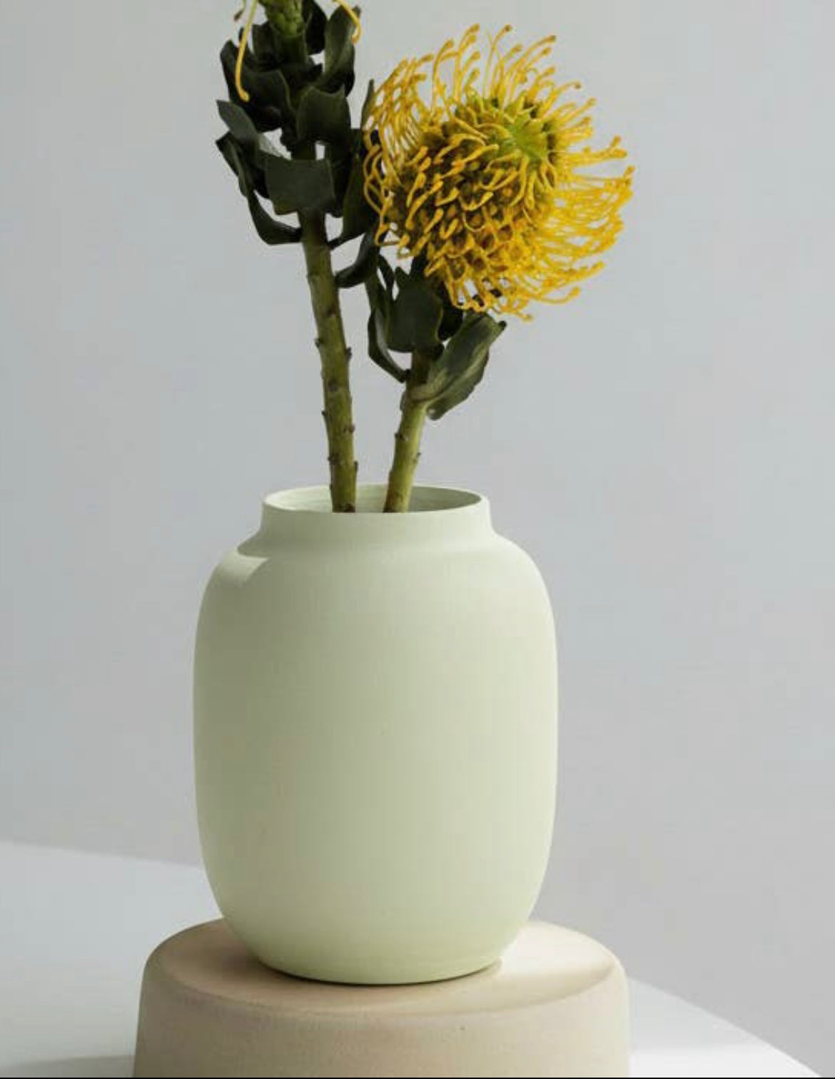 Vase Ovale