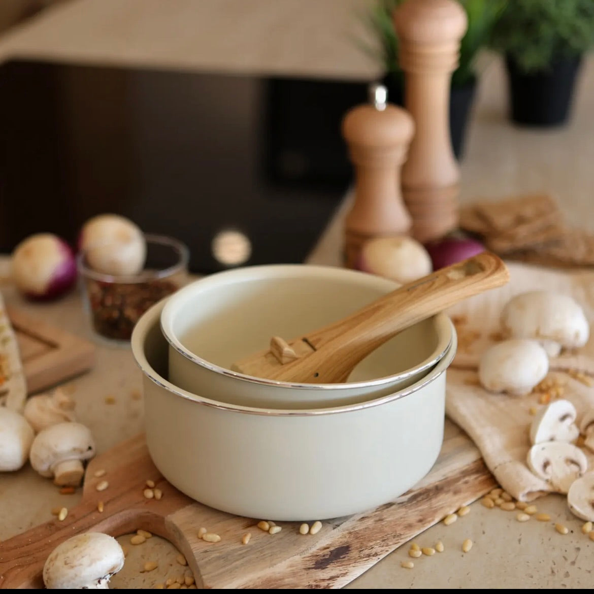 Lot de 2 Casseroles